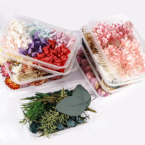 1 Box Dried flowers For Party Festival Decoration Epoxy Resin Real Dry Plant Making Photo Frame Souvenirs Craft DIY Accessories