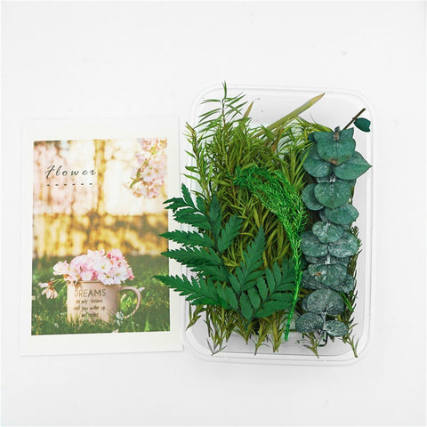 1 Box Dried flowers For Party Festival Decoration Epoxy Resin Real Dry Plant Making Photo Frame Souvenirs Craft DIY Accessories